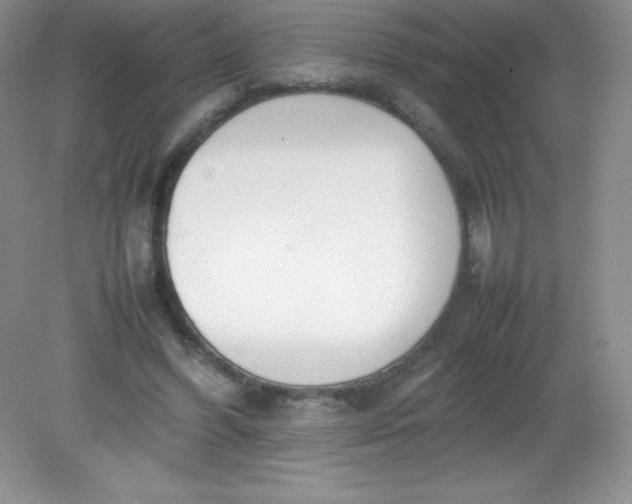 X0000082150396200702021640