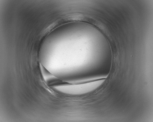 X0000082150397200702021640