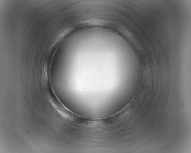 X0000082150398200702021640