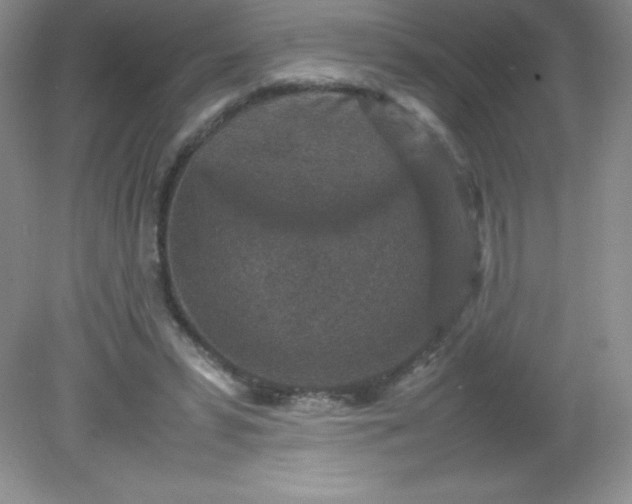 X0000082150399200702021640