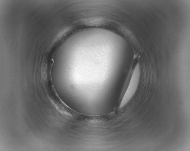 X0000082150400200702021640