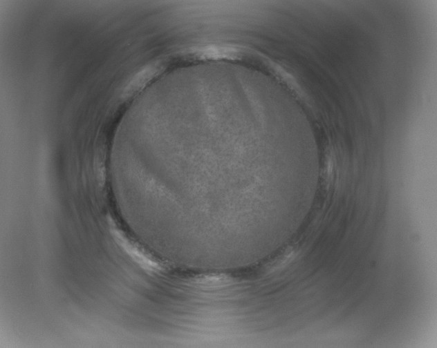 X0000082150402200702021640