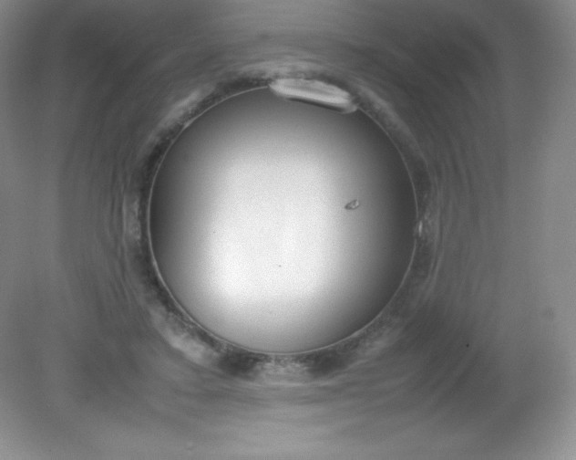 X0000082150403200702021640