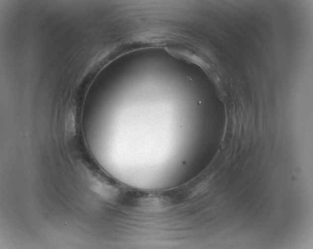 X0000082150404200702021640