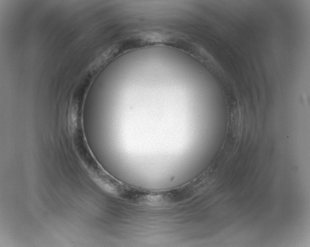 X0000082150406200702021640