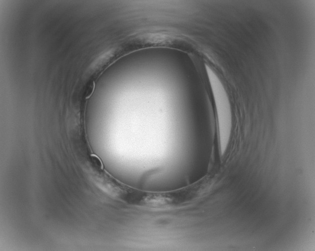 X0000082150407200702021640