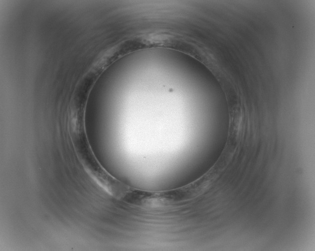 X0000082150408200702021640