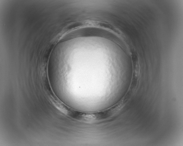 X0000082150409200702021640