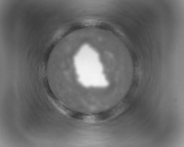 X0000082150411200702021640