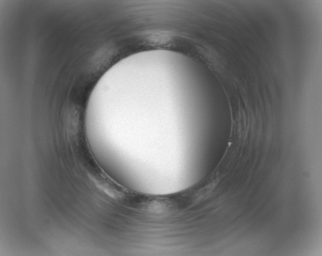 X0000082150412200702021640