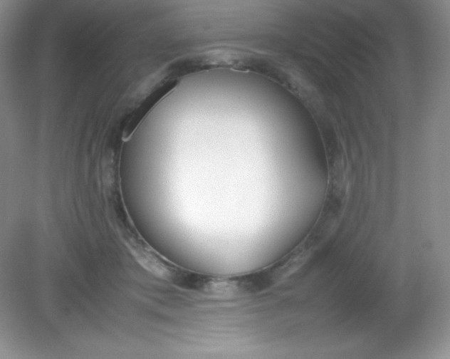 X0000082150413200702021640