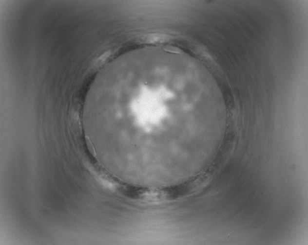 X0000082150415200702021640