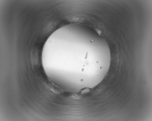 X0000082150416200702021640