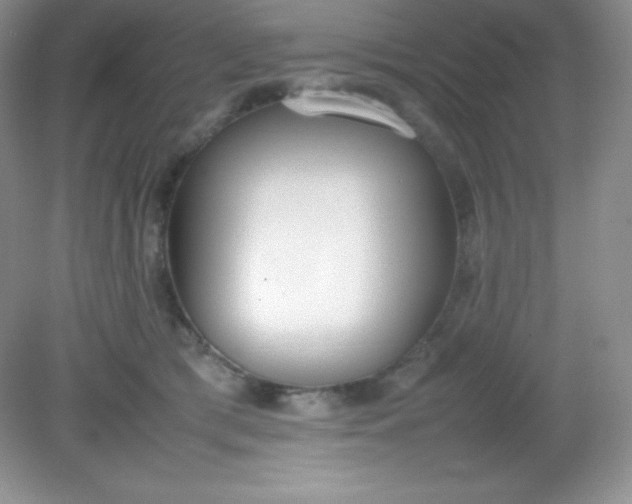 X0000082150417200702021640