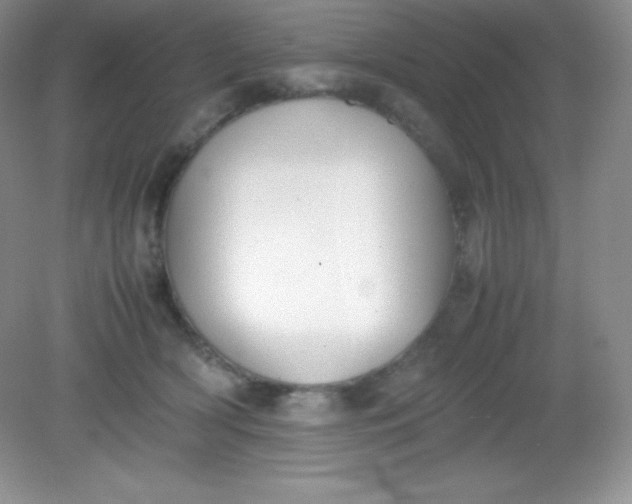 X0000082150418200702021640