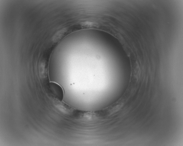 X0000082150420200702021640