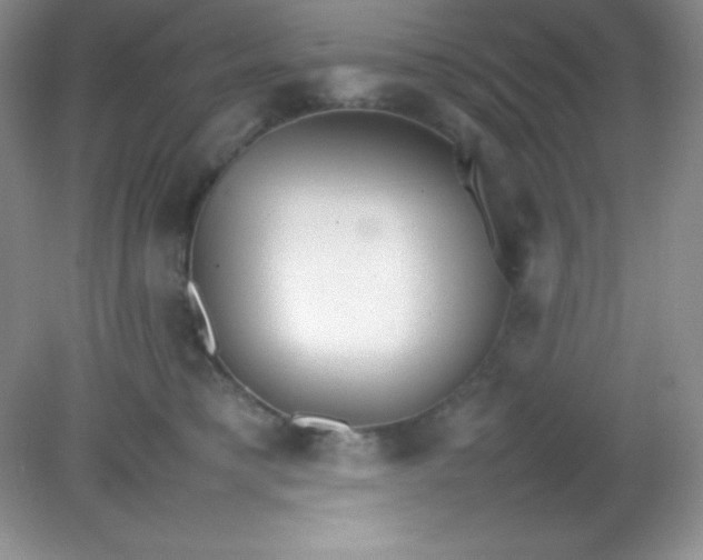 X0000082150421200702021640