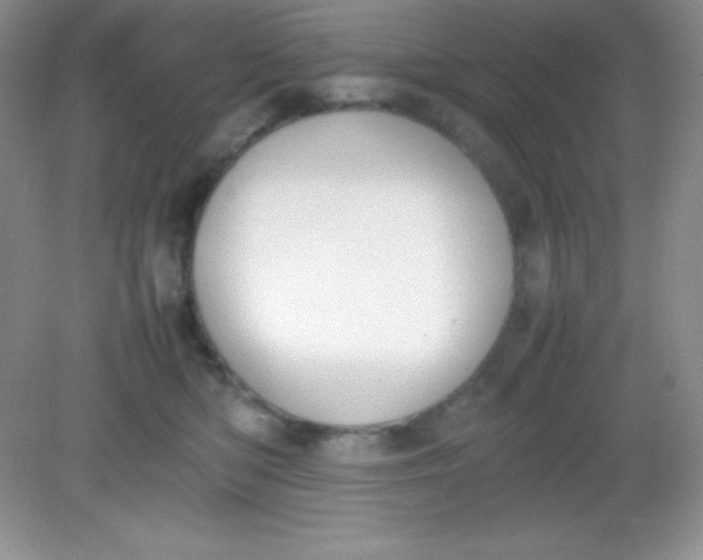 X0000082150422200702021640