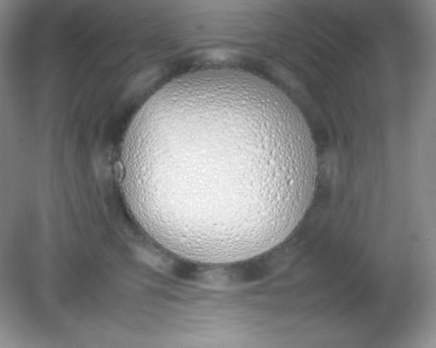 X0000082150423200702021640