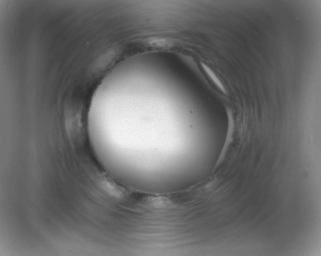 X0000082150424200702021640