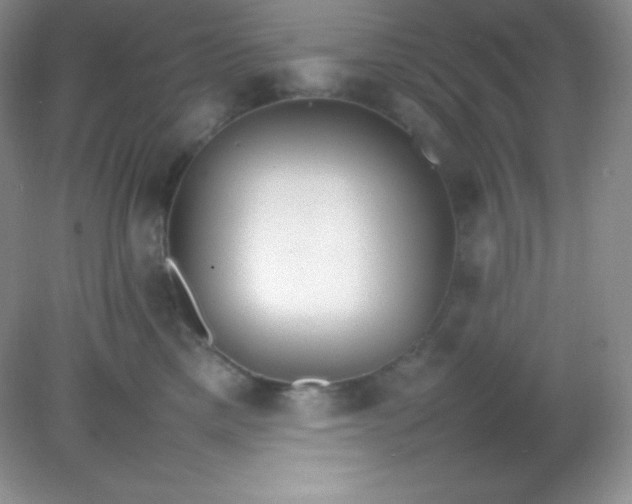 X0000082150425200702021640