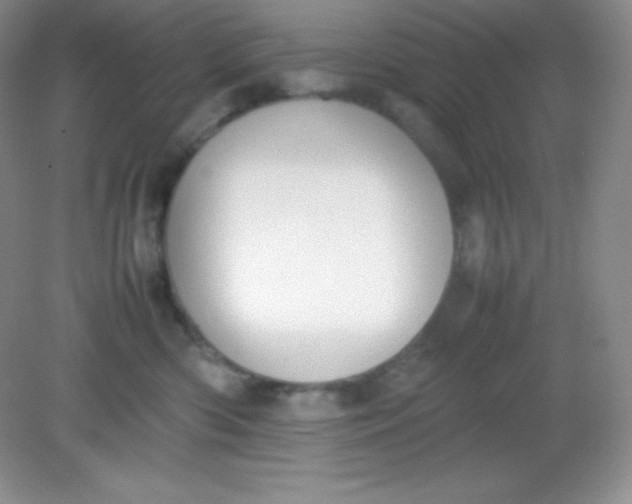 X0000082150426200702021640