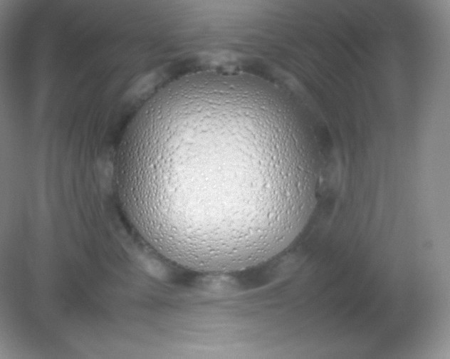 X0000082150427200702021640