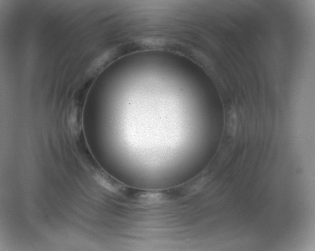 X0000082150428200702021640