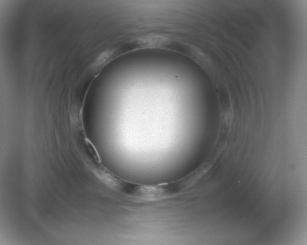 X0000082150429200702021640