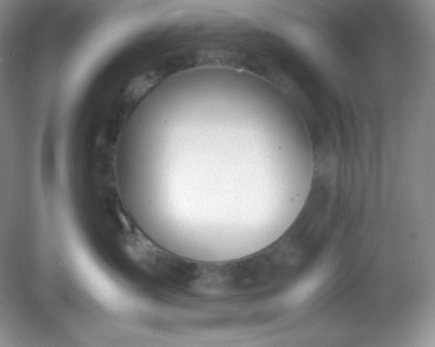 X0000082150431200702021640