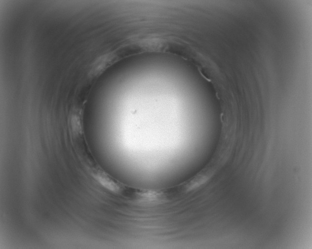 X0000082150432200702021640