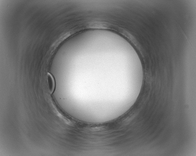 X0000082150433200702021639