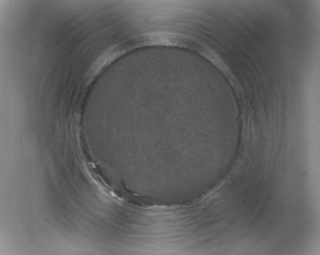 X0000082150434200702021639