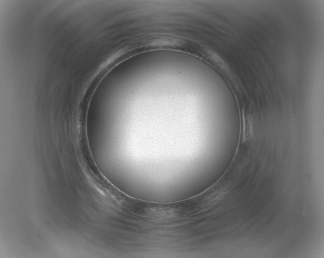 X0000082150435200702021639