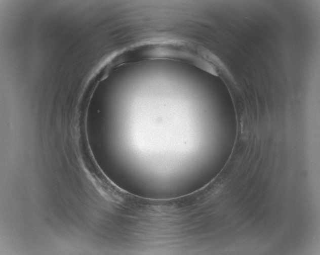 X0000082150436200702021639