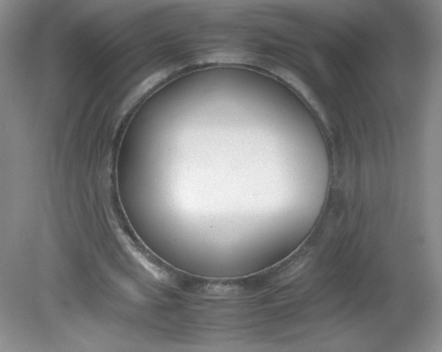 X0000082150437200702021639