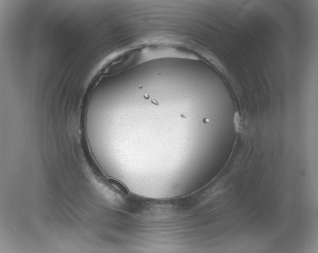 X0000082150438200702021639