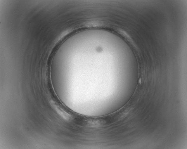 X0000082150439200702021639