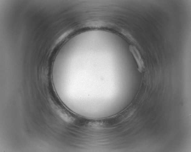 X0000082150440200702021639