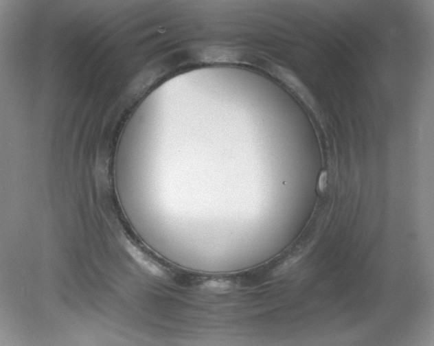 X0000082150441200702021639