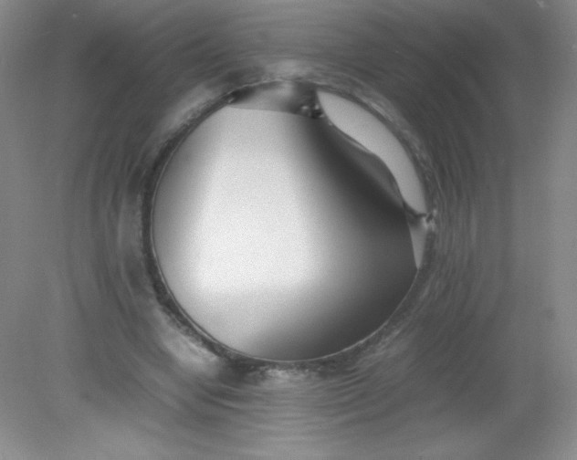 X0000082150442200702021639