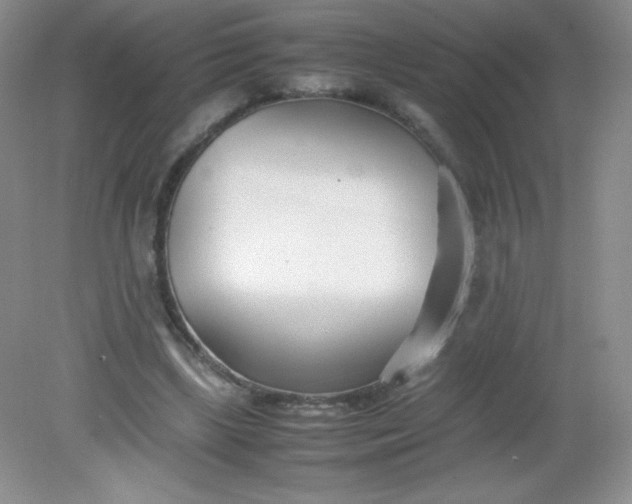 X0000082150443200702021639