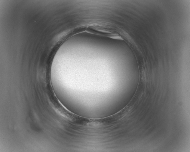 X0000082150444200702021639