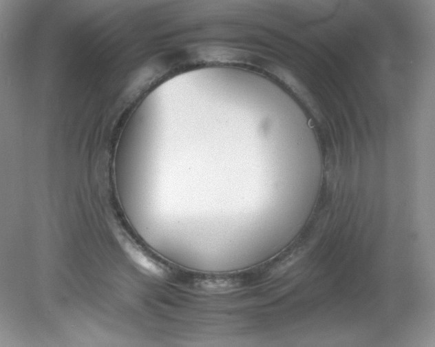 X0000082150445200702021639