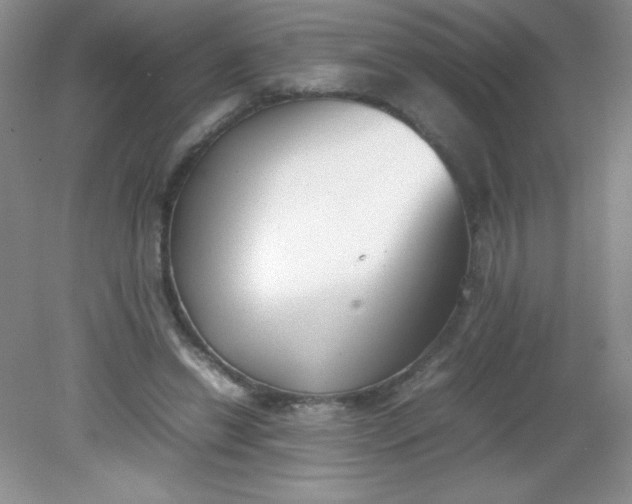 X0000082150446200702021639