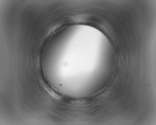 X0000082150447200702021639