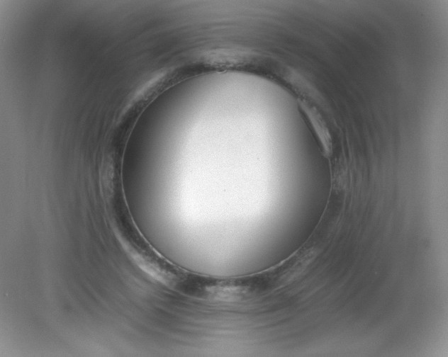 X0000082150448200702021639