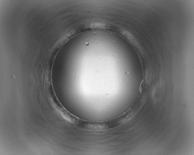 X0000082150449200702021639