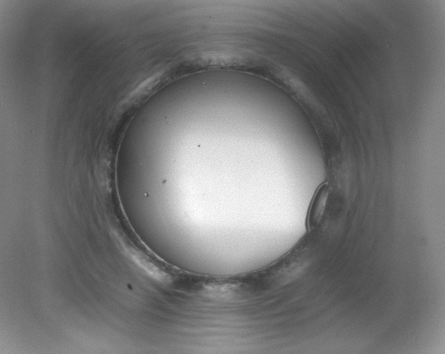 X0000082150450200702021639