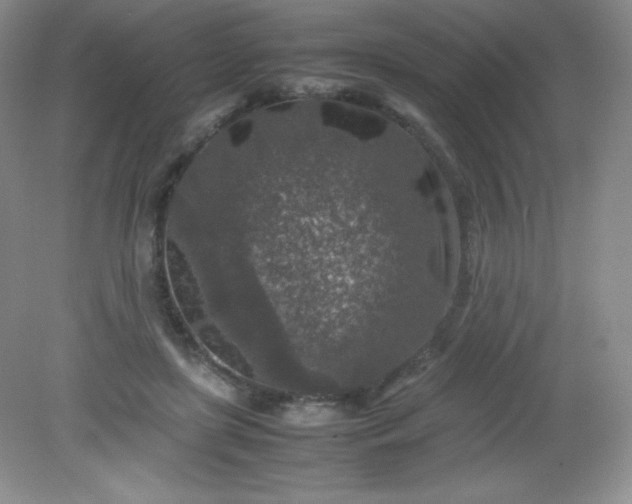 X0000082150451200702021639